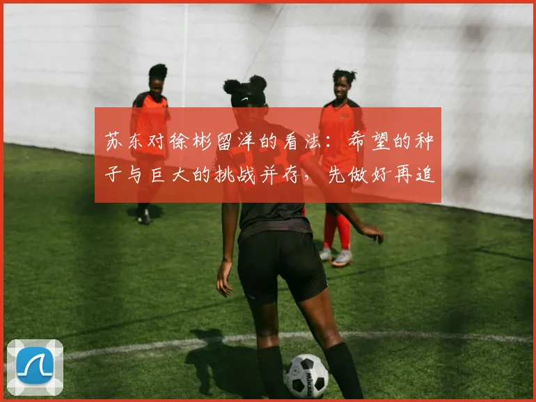 苏东对徐彬留洋的看法：希望的种子与巨大的挑战并存，先做好再追求完美